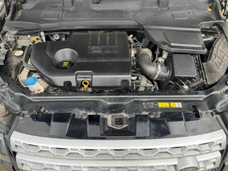 /photos/9814/890842ba-9564-4384-a6b0-66e0881a5cd6_i320x240.jpg